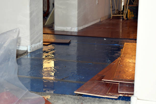 Professional Water Damage Restoration technician working in Frenchboro, ME